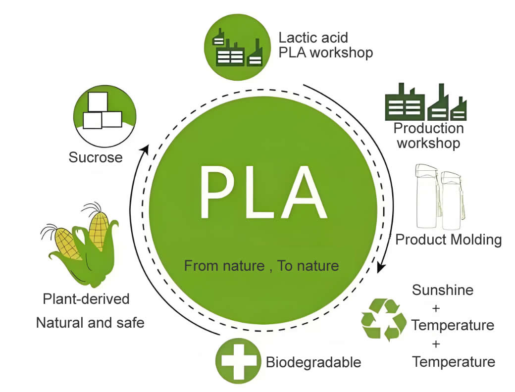 Compared to ABS, PETG, and TPU materials, why are PLA and PLA+ the favorites among 3D printing materials? - UJOYBIO