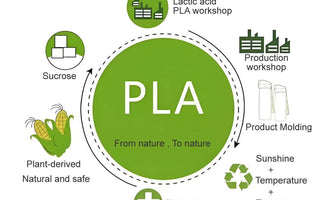 Compared to ABS, PETG, and TPU materials, why are PLA and PLA+ the favorites among 3D printing materials? - UJOYBIO